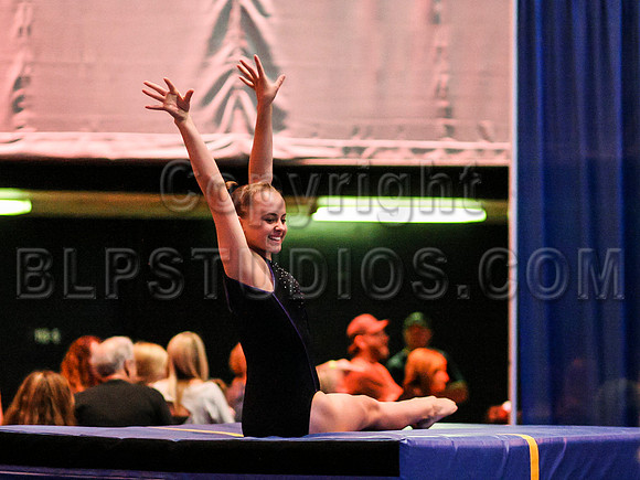 HSM_1106