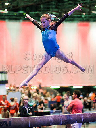 HSM_0267