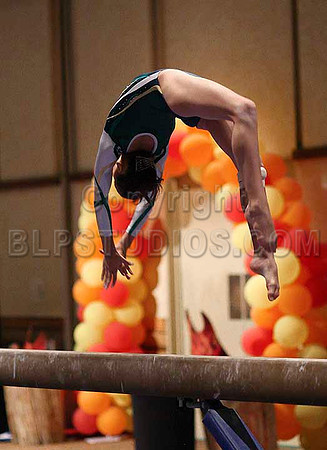 HSM_0380