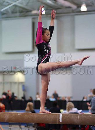 HSM_3565