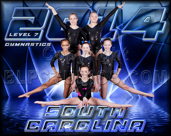 South Carolina Team