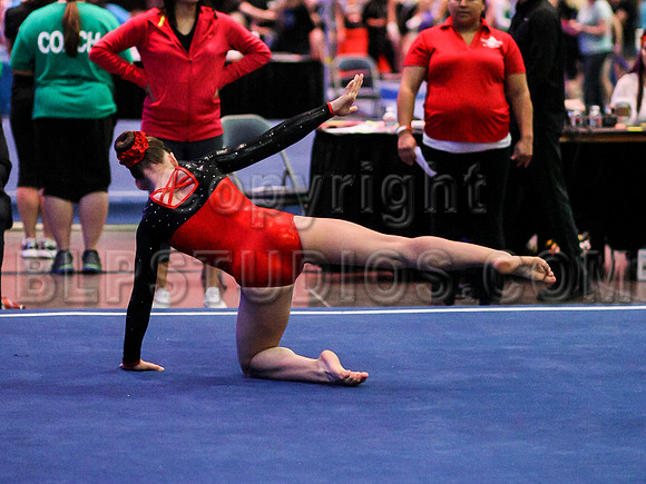 HSM_0284