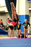 HSM_5264