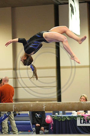 4Z3F4171