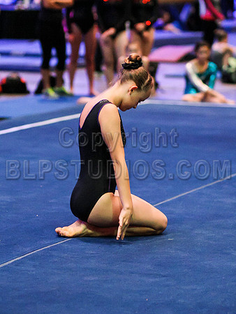 HSM_0695