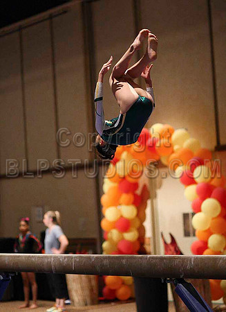 HSM_0406