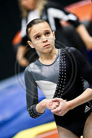 TAZ24479