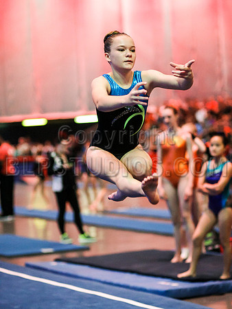 HSM_0947