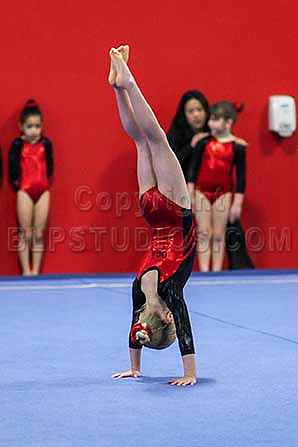 HSM_6288