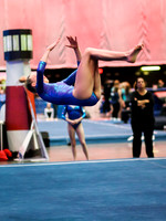 HSM_1117