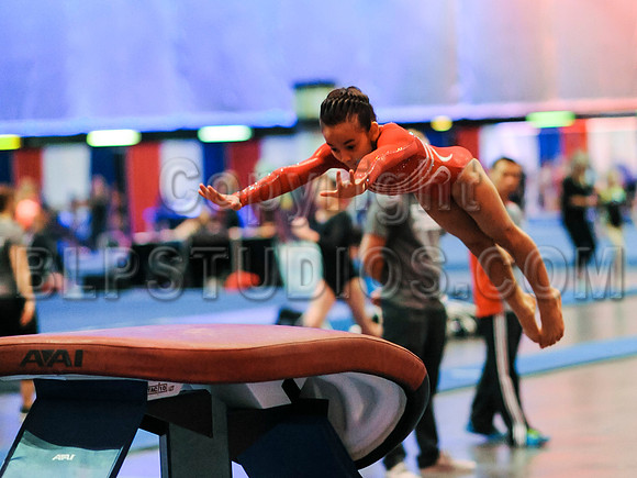 RFJ_0029