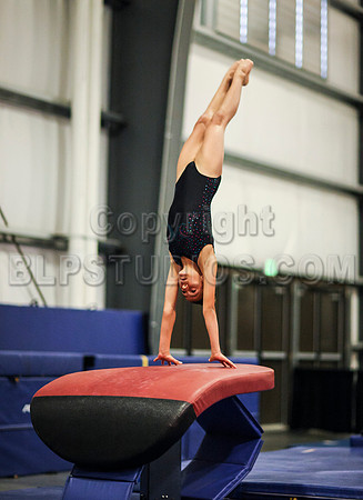 HSM_0195